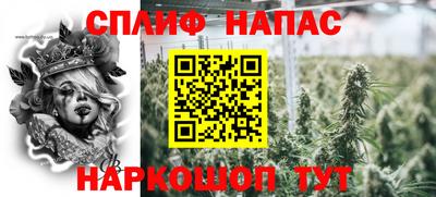 apvp Моздок