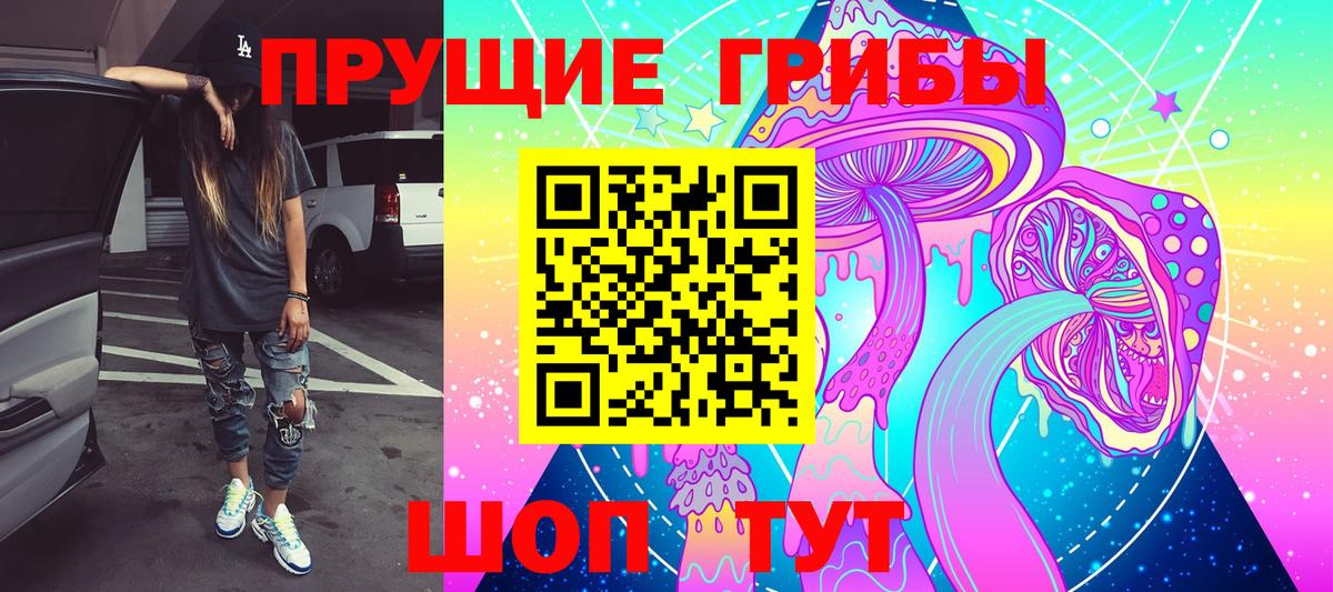 Тайшет  Галлюциногенные грибы мицелий  Галлюциногенные грибы Magic Shrooms  Вход с VPN 